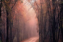 天涯社区网站客服：你身边的网络聊天守护天使！快来跟我唠嗑呀~