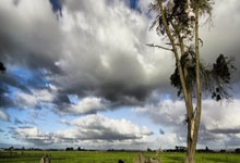 天涯社区经：回忆那一段热闹的网络时光