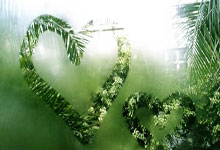 天涯社区网站客服：你身边的网络聊天守护天使！快来跟我唠嗑呀~