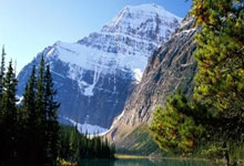 天涯社区经：回忆那一段热闹的网络时光